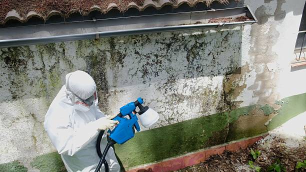 Trusted Mold Testing service in Redmond, OR - Cheap Mold Removal
